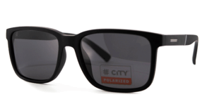 City 17529 C1